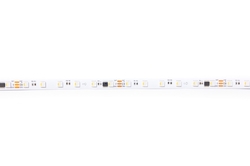 LED pásek digitální WS2814 RGBCW, studená bílá, 24V, 144led/m, 1 metr, IP30