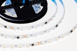 LED pásek digitální WS2814 RGBW, teplá bílá, 24V, 60led/m, 1 metr, IP30